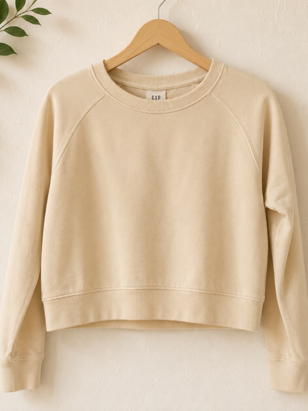 Cream Sweatshirt
